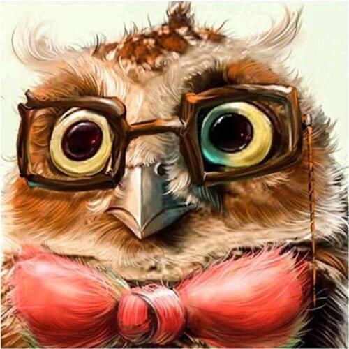 Kexinzu Full 5D DIY Square Round Diamond Painting Animal Owl 3D Embroidery Cross Stitch Rhinestone Mosaic Home Decor K215