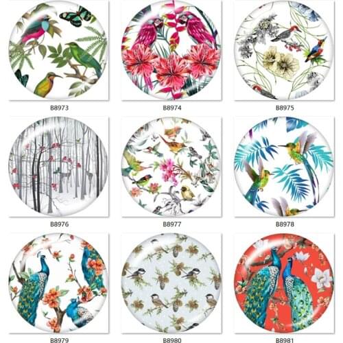 Colourful Beautiful Cardinal Bird Back Making Findings Glass Cabochon Round Photo Chunks Demo Flat 12mm/18mm/20mm/25mm B8973