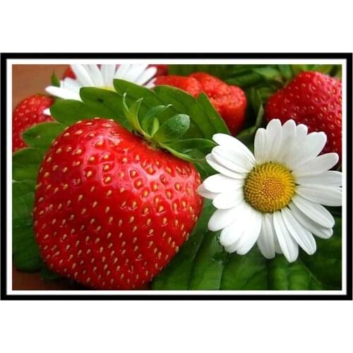 Rose Vase Flower Basket DIY 11CT Embroidery Cross Stitch Kits Craft Needlework Set Printed Canvas Cotton Thread Home Design