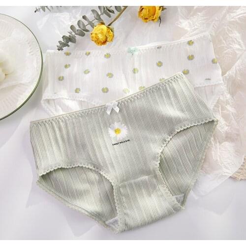 Womens Underwear Daisy Printing Lovely Girls Mid Waist Briefs Cotton Soft Natural Moisture Absorption Breathable Elastic