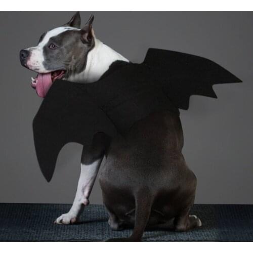 Halloween dog Pet Bat Wings Cat Bat Costume Funny Cats Dogs Cosplay Costume Fit Party Dogs Cats Playing Pet Products big dogs