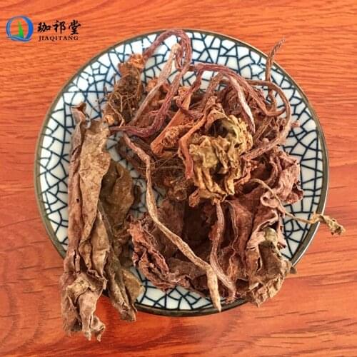 Rhizome of Fimbriatestipulate Begonia Begonia fimbristipulata Hance Hong Tian Kui