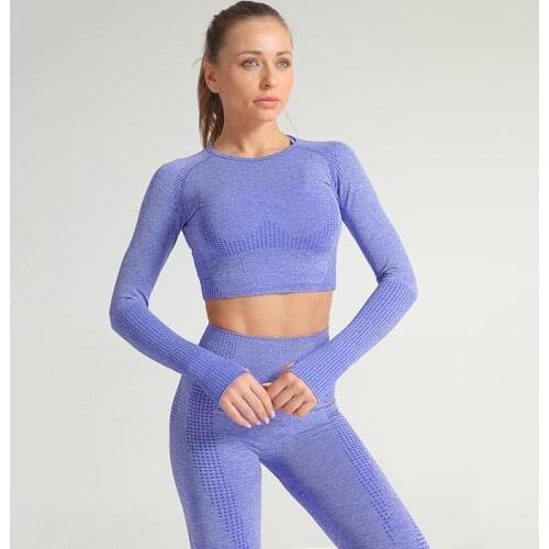 Women Seamless yoga set Fitness Sports Suits GYM Cloth Yoga Long Sleeve Shirts High Waist Running Leggings Workout Pants Shirts