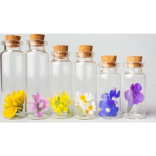 5Pcs Mini Small Glass Bottles With Clear Cork Stopper Christmas Wish Bottles Vials For Holiday Wedding Home Decoration Gifts