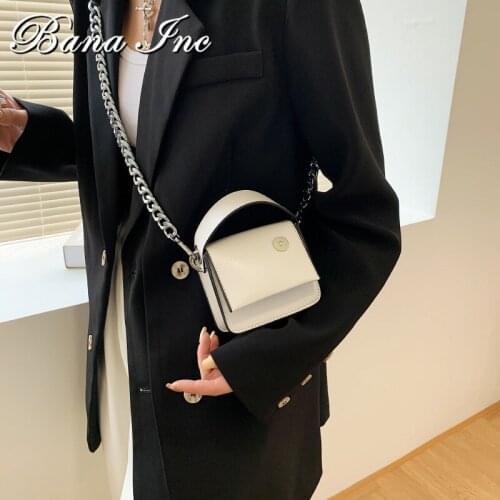 Luxury Women Mini Bag Ins Fashion Thick Metal Chain Pinch Bag Women Brand Designer Crossbody Bag Small Coin Purse And Handbag