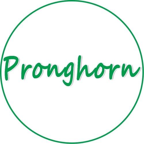 Price difference paying link only