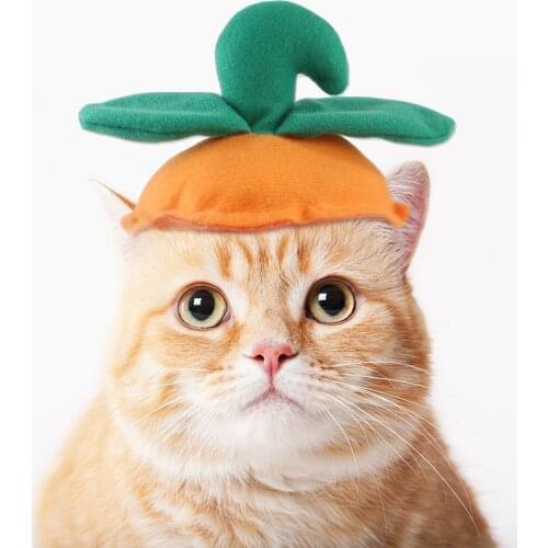 Funny Dog Cat Headgear Halloween Hat Green Leaf Pumpkin Headgear Pet Cosplay Role Play Supplies
