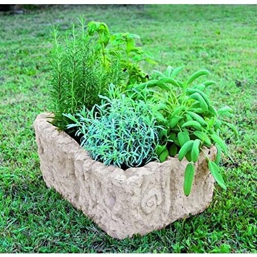 Vasi da esterno Plant Pots