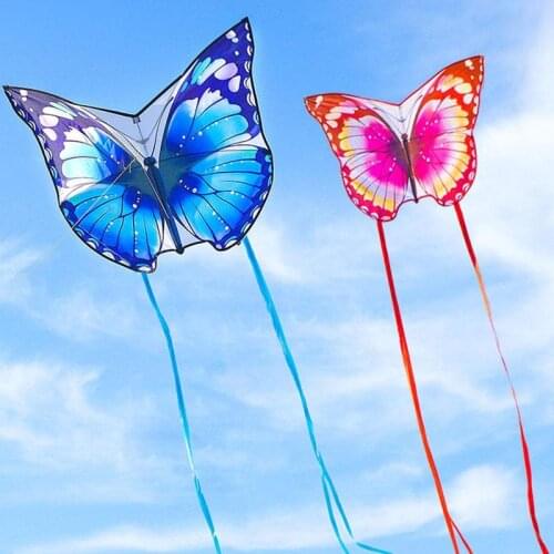 100*70cm Blue/Pink Butterfly Surfing Kite Large Size Outdoor Wind Kites Set with Long Tail for Adult Children