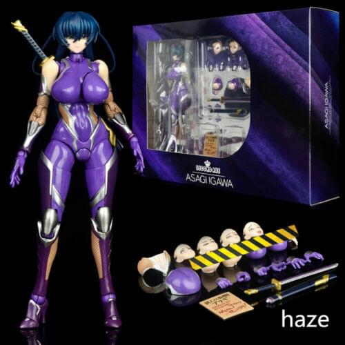 Anime Taimanin Igawa Asagi PVC Figure Model Toy Collection In Box 16cm