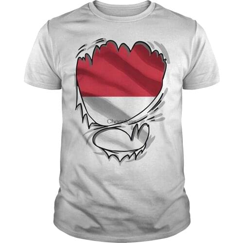 Monacan Superhero Under Shirt Monaco Flag T-Shirt