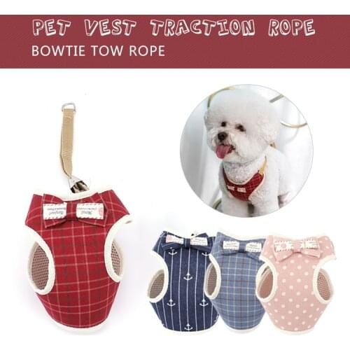 Pet Dog Cute Bow Harness and Leash Set Adjustable Breathable Mesh Chest Strap For Small Dog Cat Chihuahua Soft Vest Pet Supplies