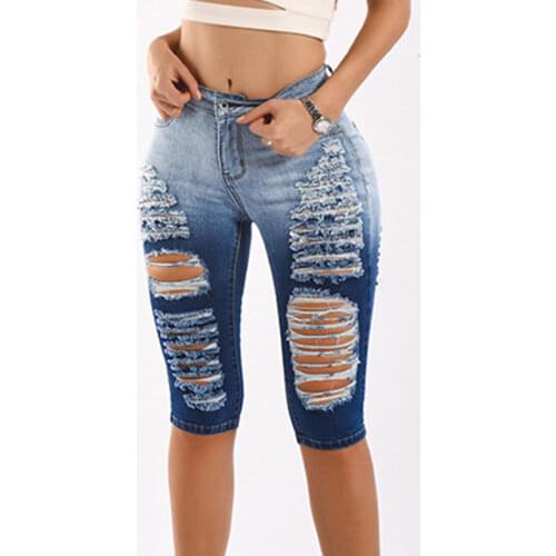 DenimCoLab Womens Short Jeans