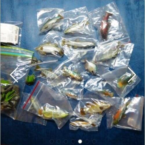 Small pvc figure Freshwater fish model toy 17pcs/set vol.1 OUT OF PRINT