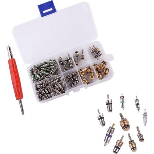 134Pcs Protable AC Valve Core For R134A Air Conditioning Assortment Kit with Remover