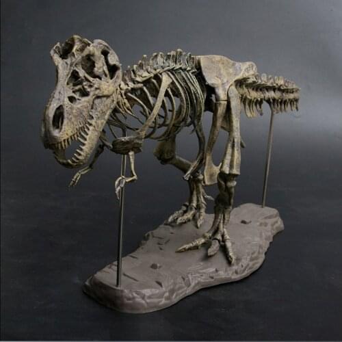 Archeology Animal Model Toys Simulation Large Dinosaur Fossil Tyrannosaurus Assemble The Skeleton Model Toys Stitching Toys