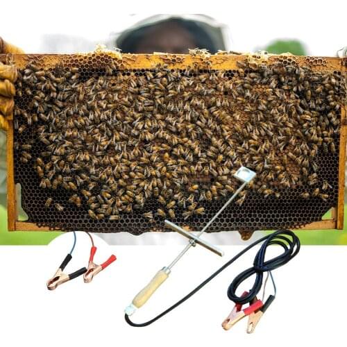 Bee Vaporizer 12V Bee Evaporator Oxalic Acid Vaporiser Varroa Treatment Beekeeping Supplies Tools Beekeeper
