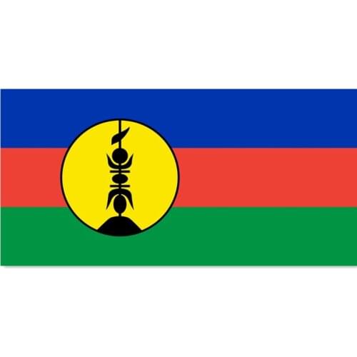 France Region New Caledonia Flag for decoration 60x90cm/90x150cm/120x180cm