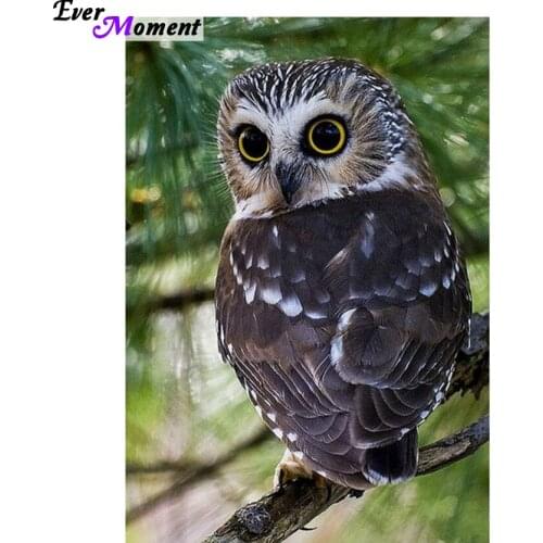 Needlework 5d diy diamond painting cross stitch kits Big eye owl Wall Stickers square drill full diamond embroidery home ASF022