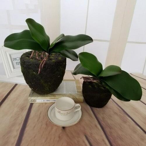 New 1Pcs real touch phalaenopsis leaf artificial plant leaf decorative flowers auxiliary material flower decoration Orchid leaf