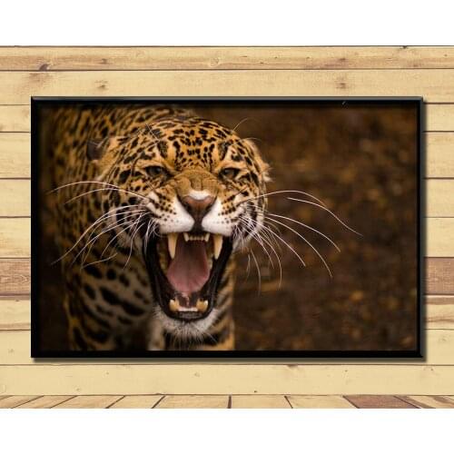 Jaguar Strong And Fast Land Animal (2) Wall Posters Prints Silk Art Painting For Home Wall Bedroom Decor