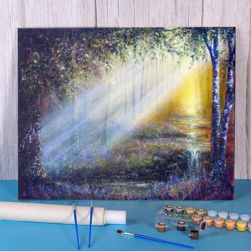 Natural Scenery Bluebell Beams Painting By Numbers Kit Oil Paints 50*70 Canvas Pictures New Design Crafts For Wholesale