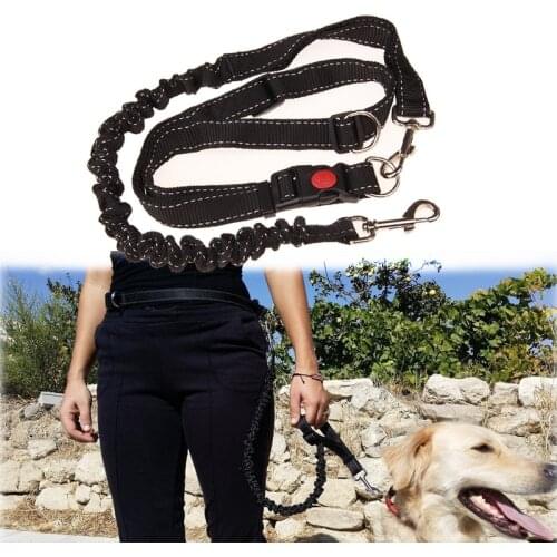 Nylon Dog Leash Elasticity Hands Free Pets Training Reflective Leash Dog Harness Walking Jogging Lead Adjustable Waist Rope