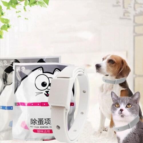 Flea and Tick Collar 8 Month Protection Adjustable Waterproof Collar for Dog Puppy Kitten Cats