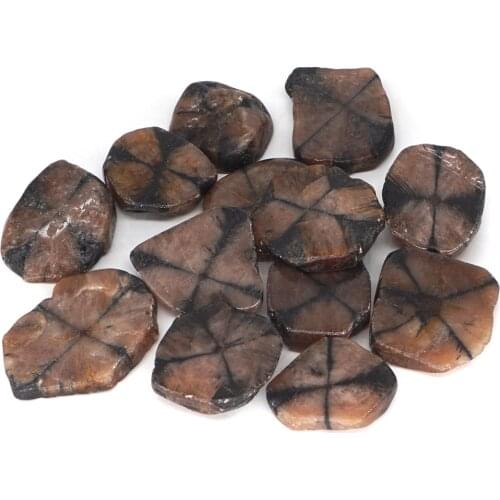 200g Natural Chiastolite Stone Flakes Tumbled Gems Rock Mineral Healing Specimen