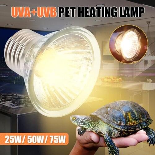 Warm White Heat Emitter Light Bulb Tortoise Snake Home Indoor Brooder Thermal Emission Pets Supply Energy Saving Luminous