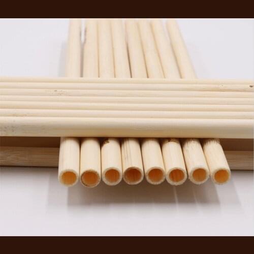 10Pc Bamboo straw samples