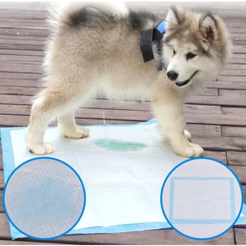 Pet Diaper Disposable Dog Poop Bag Dog Potty Super Absorbent Training Dog Diaper Healthy Cleaning Dog Pad Puppies Training Mat