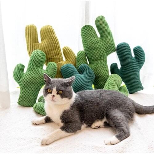 Plush Cactus Cat Pillow Toy for Cats Mascotas Accessories Catnip Stephan Kedi Toys katten speelgoed juguetes para gatos Pet Toys