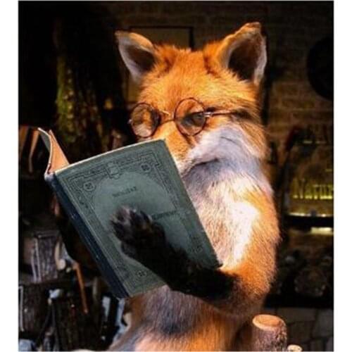 5D DIY Full Round/Square Diamond Painting Fox Reading Book 3D Embroidery Cross Stitch Rhinestone Mosaic Home Decor Gift Y1209