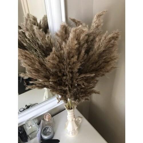 20 Pcs Pampas Grass Real Dried Plants Decor Wedding Flower Bunch Natural Plants Decor Flowers Free Shipping 60cm Long