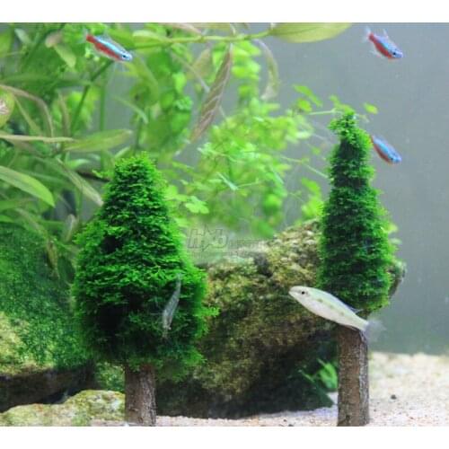 ETB fish tank landscaping Moss tree Christmas tree fish tank decoration aquatic plant jungle landscaping fish tank