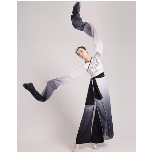Chinese ink water sleeves costumes Classical dance clothing long sleeves fan Poetry fairy costume fan dance stage performance