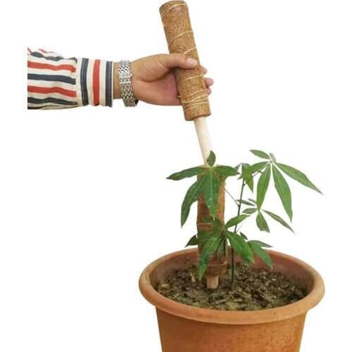 5 Packs of Coconut Shell Totem Poles-Coconut Shell Moss Sticks Suitable for Plant Support Expansion