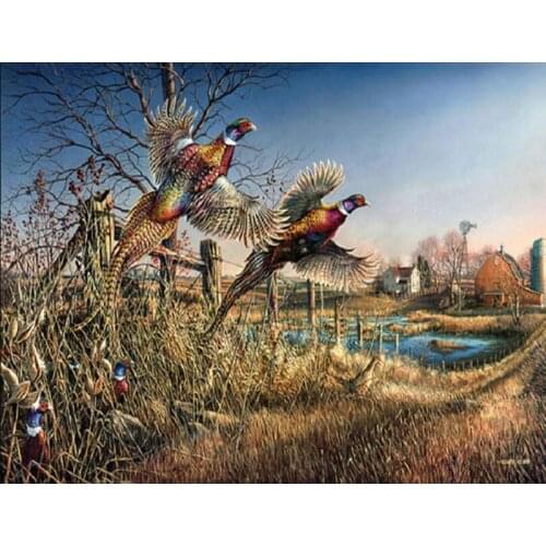 Diamond Painting Australia Parrot Full Drill Square Diamond Embroidery Birds Picture of Rhinestone Decor Childrens Room Decal