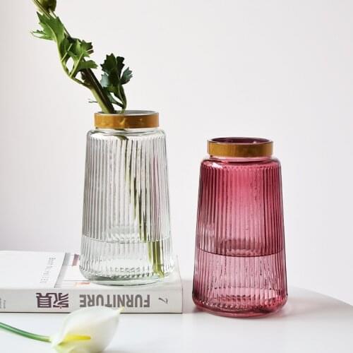 European Style Glass Vase Home Decoration Living Room Hydroponic Flower Arrangement Flower Gold Line Transparent Tabletop Vases