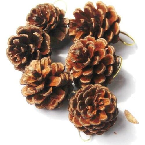 30pcs 4-5cmDried Natural Pinecone Flower Arrangement For Wedding Christmas Party Tree Venun Hanging Decoration