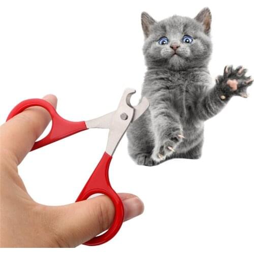 Professional Pet Dog Puppy Nail Clippers Toe Claw Scissors Trimmer Pet Grooming Products For Small Dogs Cats Puppy