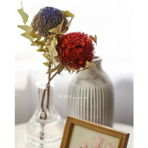 1pcs Africa Imported Real Flower round Banke Wood Dried Flower B & B Living Room Retro Bouquet Photography Matching Decorations