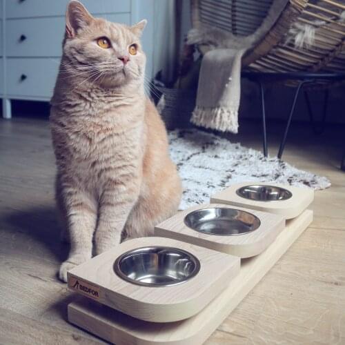 BEDFOR Products For Cats