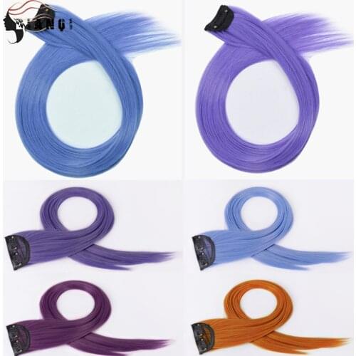 DIANQI Synthetic Clip Hair Long Straight Rainbow color Fake Hair Piece Extensions on Clips One Piece For Women Daily wear