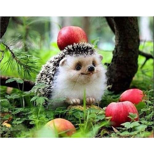 Dpsprue 5d Diy Square/Round Diamond Painting Hedgehog Embroidery Diamond Paintings Needlework Mosaic Kit Painting Gift GHF02