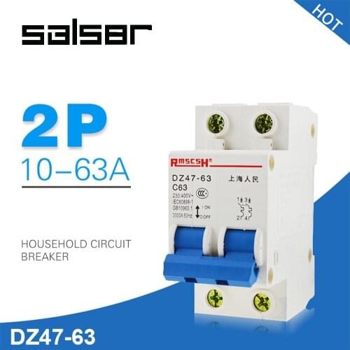 DZ47-63 1-63A 230/400V 2P Mini Circuit Breaker Household Air Manual transfer Power Switch C45 Type