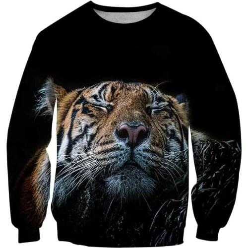 BIAOLUN Sweatshirts For Girls