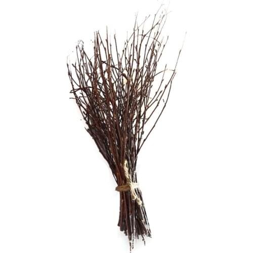 1 Bundle Natural Birch Branch Twigs, Birch Spray Plant Floral For Centerpieces, Bundle ijk89 Decoration, Crafts Arrangement