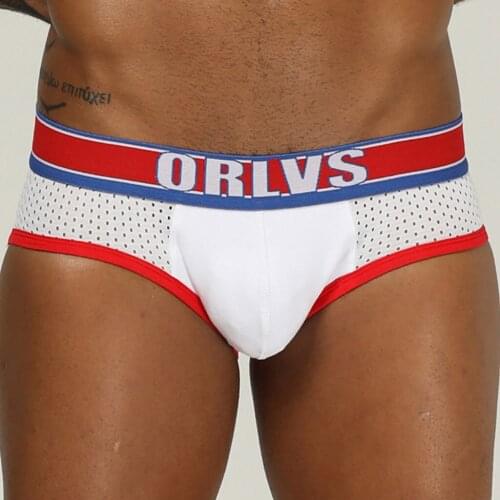 Brand 2021 New Design Soft Mesh Underwear Men Briefs Cotton Male Panties Slip Cueca Gay Underpants Fashion Briefs Men Shorts